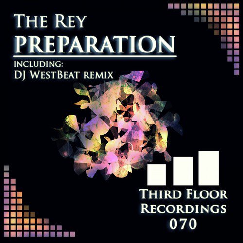 Preparation (DJ Westbeat Remix) cover art