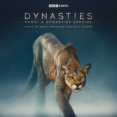 Puma: A Dynasties Special (Original Television Soundtrack)_poster_image