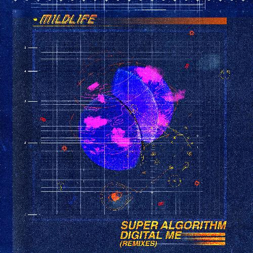 Super Algorithm Digital Me - THIEVVES Remix_poster_image