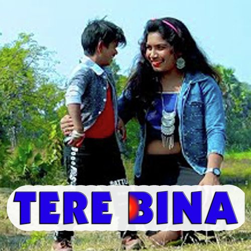 Tere Bina