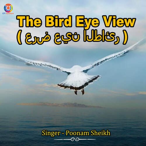 The Bird Eye View