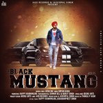 The Black Mustang