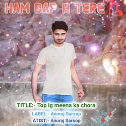 Top Lg Meena Ka Chora