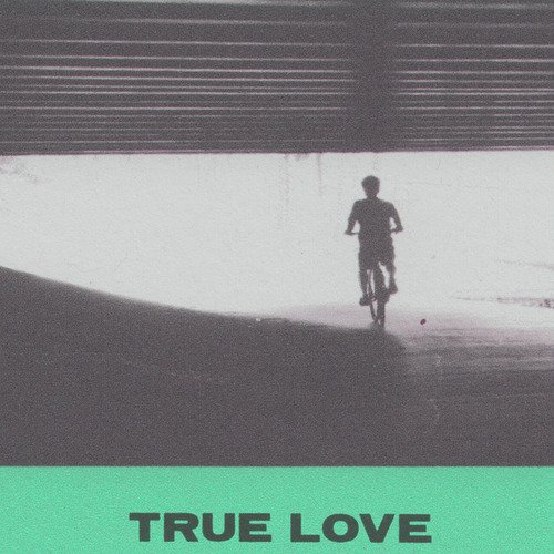 True Love - song and lyrics by Hovvdy