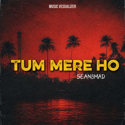 Tum Mere Ho