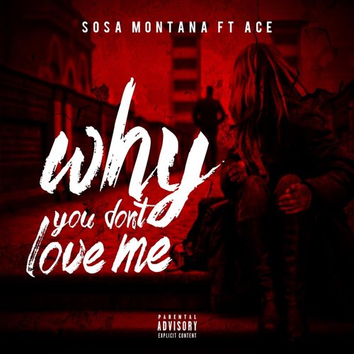 Why You Don't Love Me (feat. Ace)