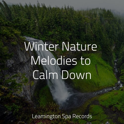 Winter Nature Melodies to Calm Down