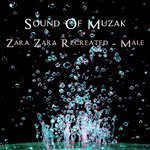 Zara Zara Recreated - Male