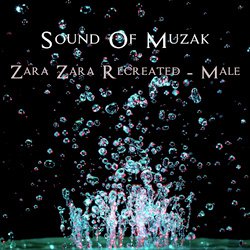 Zara Zara Recreated - Male