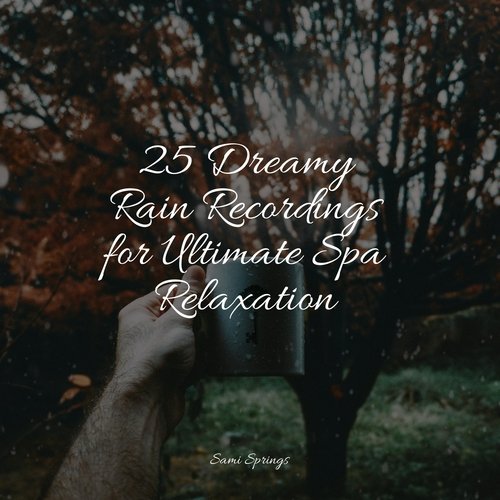 25 Dreamy Rain Recordings for Ultimate Spa Relaxation