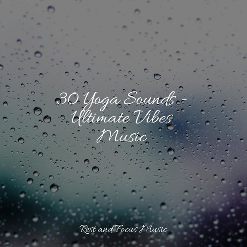 30 Yoga Sounds - Ultimate Vibes Music_poster_image