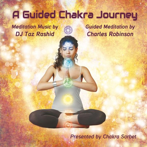 A Guided Chakra Journey (feat. Charles Robinson)