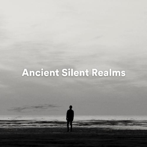 Ancient Silent Realms_poster_image