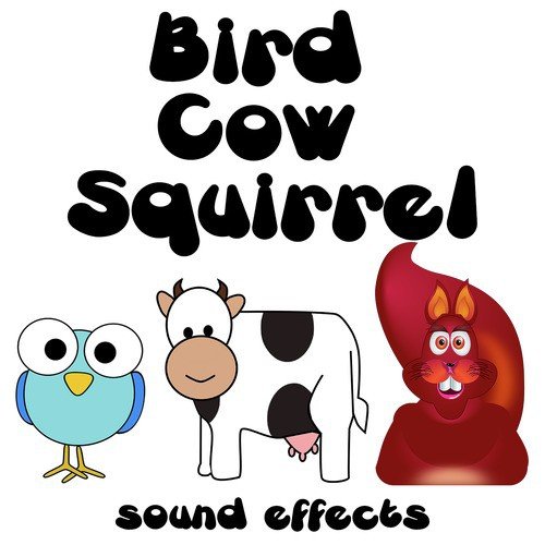 Birds Cows Squirrel Sound Effects Text Tones and Ringtones