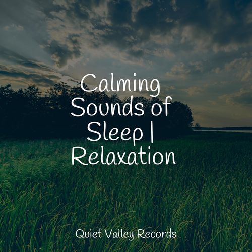 Calming Sounds of Sleep | Relaxation