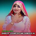 Dhola Jamfar Me Gobar Ki