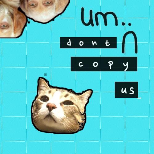 Don't Copy Us
