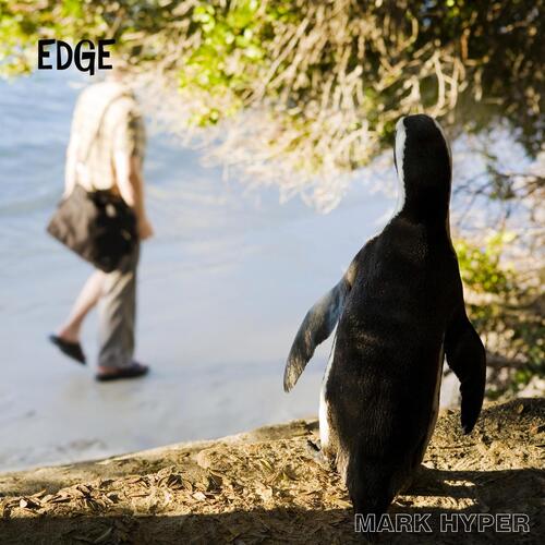 Noise Conspiracy cover art