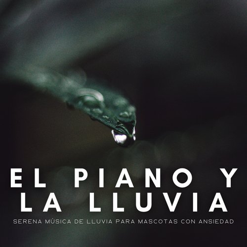 Gatos Somnolientos, Perros Somnolientos cover art