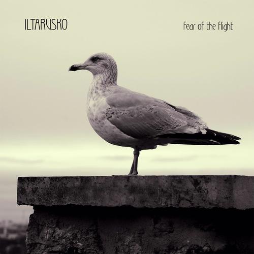 Fear of the Flight cover art