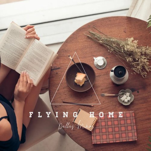 Flying Home