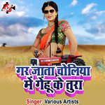 Bhatra Ke Ber Use Kaile Ba