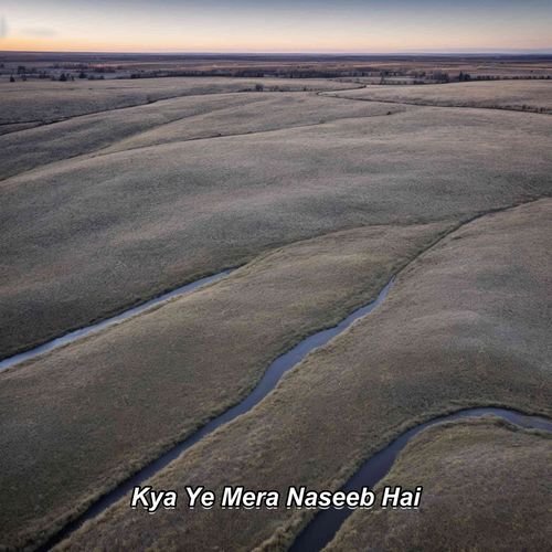 Kya Ye Mera Naseeb Hai