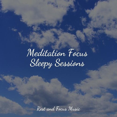 Meditation Focus Sleepy Sessions_poster_image