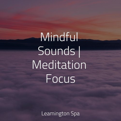 Mindful Sounds | Meditation Focus