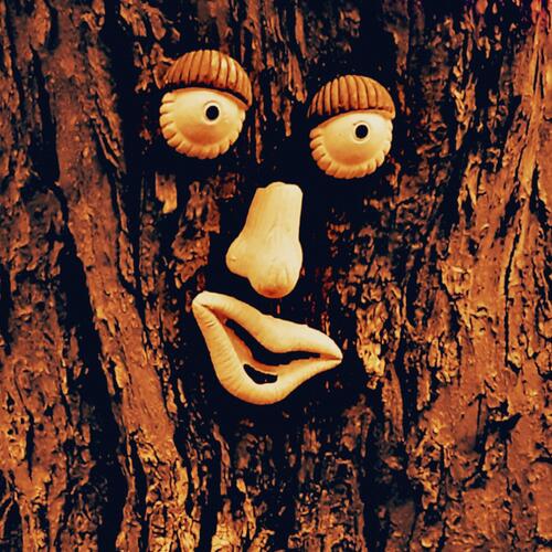 War of the Woods cover art