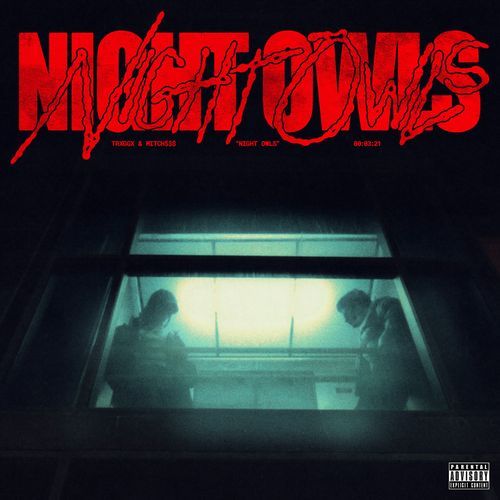 NIGHT OWLS cover art