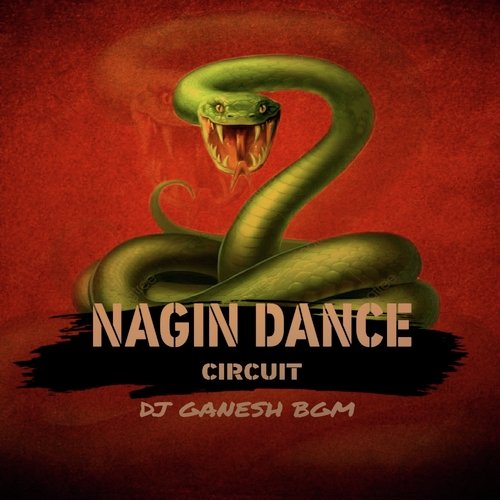 Nagin Dance Circuit