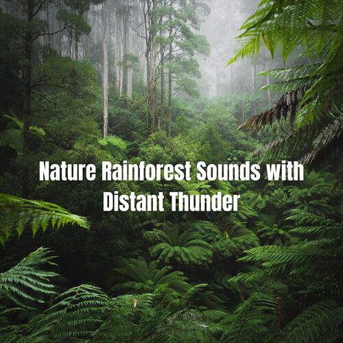 Nature Rainforest Sounds with Distant Thunder_poster_image