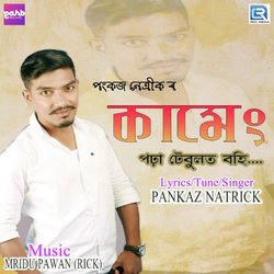 Pankaj Natrick