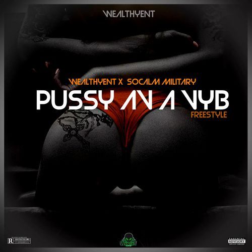 Pussy Av a Vyb (Freestyle)