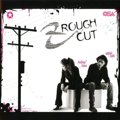 Rough Cut_poster_image