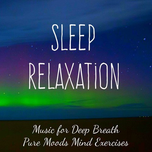 Sleep Relaxation - Yoga Relaxing Instrumental Music for Deep Breath Pure Moods Mind Exercises with New Age Nature Soft Sounds_poster_image