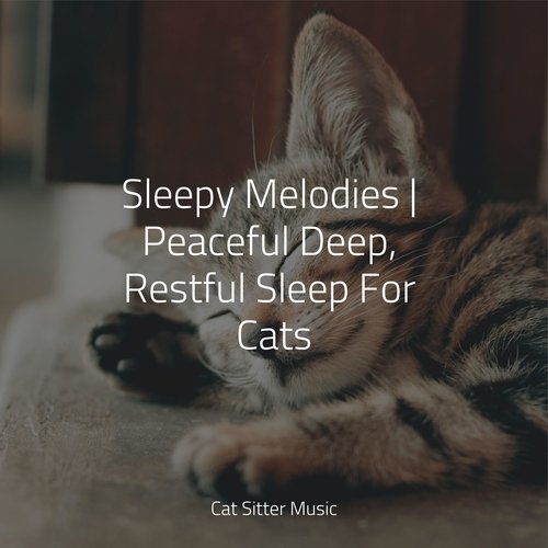 Sleepy Melodies | Peaceful Deep, Restful Sleep For Cats