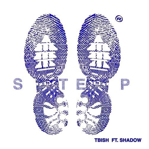 Step cover art
