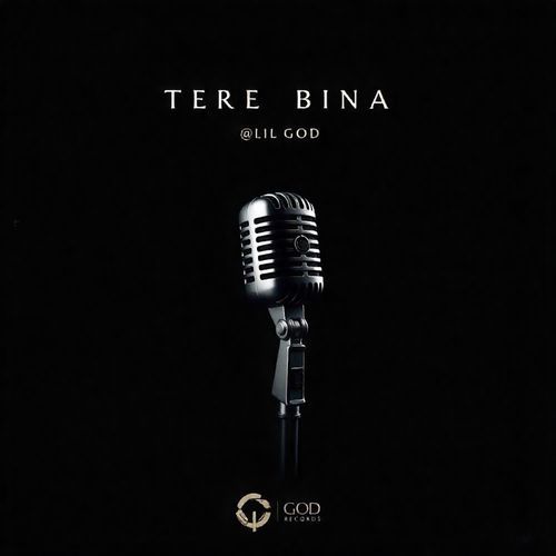 Tere Bina