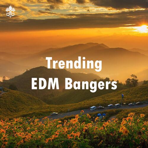 Trending EDM Bangers