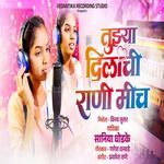 Tujhya Dilachi Rani Mich