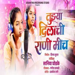 Tujhya Dilachi Rani Mich