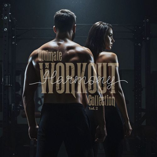 Workout Full Force cover art