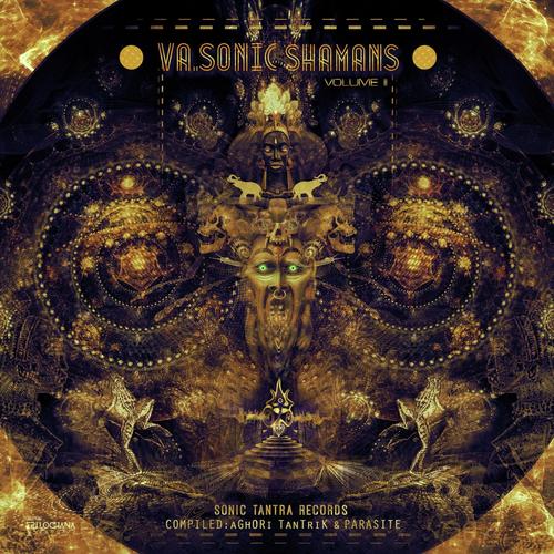 VA - Sonic Shamans Vol II