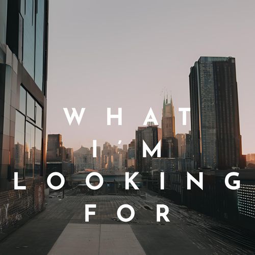 What I'm Looking For