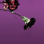 You & I (Nobody in the World) (R3hab Remix - Radio Edit)