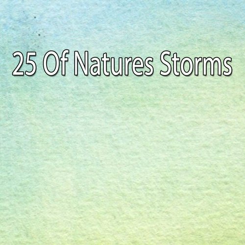 25 Of Natures Storms_poster_image