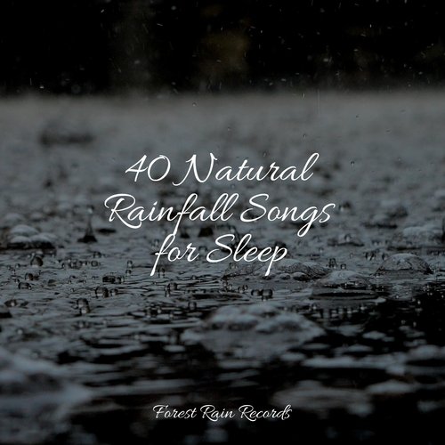 Rain, Storm and Thunder cover art
