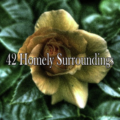 42 Homely Surroundings